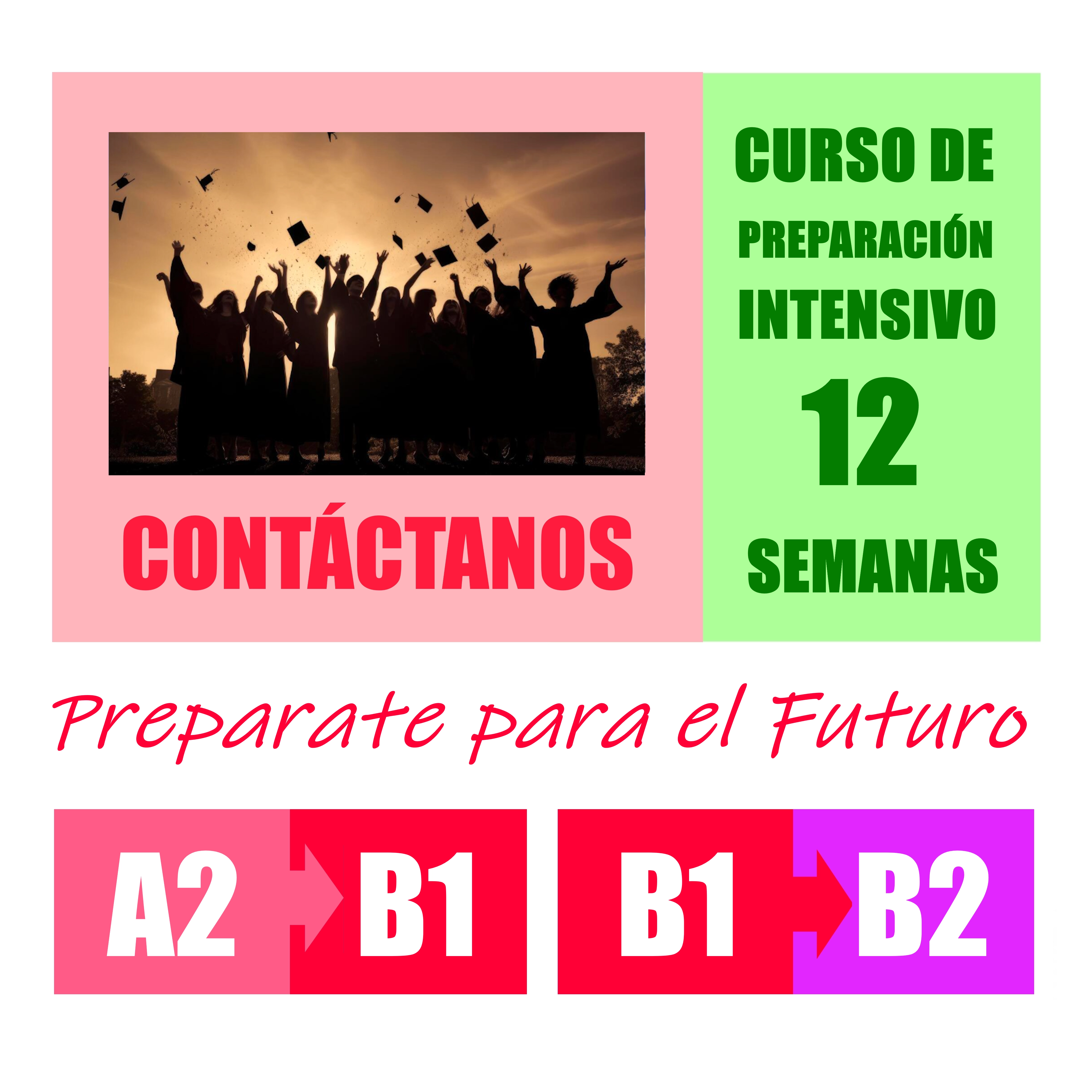 INTENSIVO ALTO RENDIMIENTO - 240